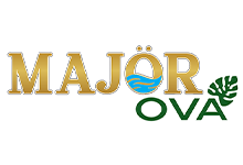 Nokta Art: Google Reklam - Sosyal Medya - SEO - Web Tasarım