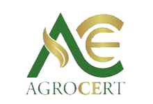 Nokta Art: Google Reklam - Sosyal Medya - SEO - Web Tasarım