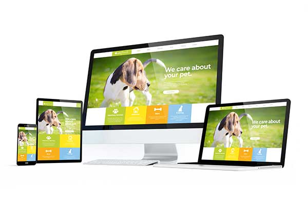 Veteriner Web Sitesi Tasarımı